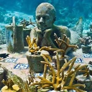 Meet your Posher, Brandy